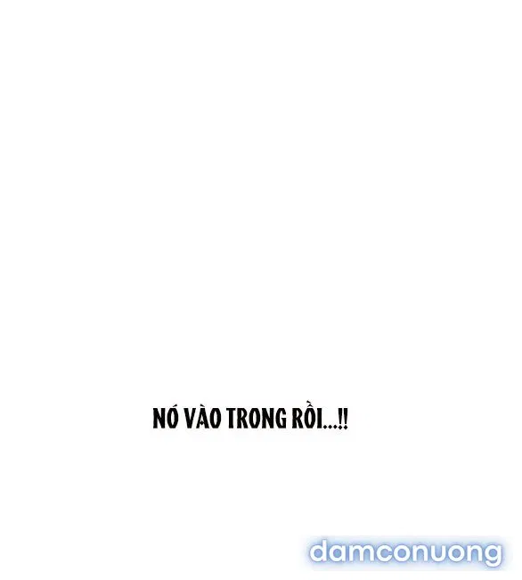 [18+] Phòng Ngủ Bí Mật Của Công Chúa Bị Bỏ Rơi 