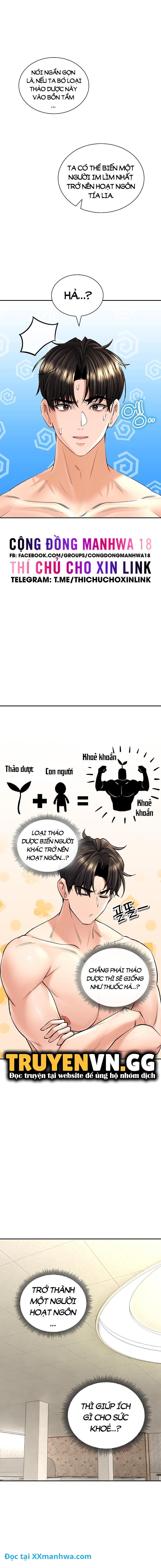 Thảo mộc tình ái 