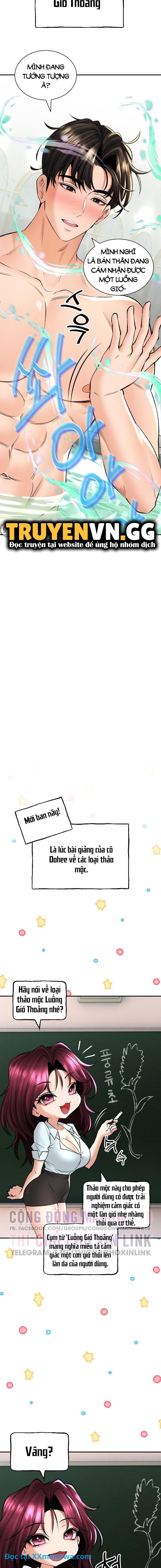 Thảo mộc tình ái 