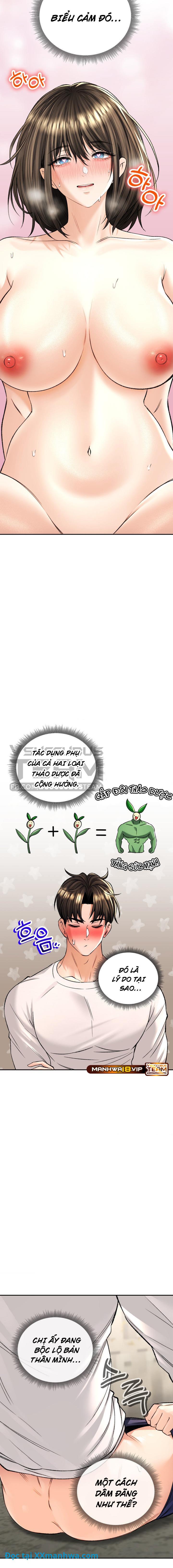 Thảo mộc tình ái 