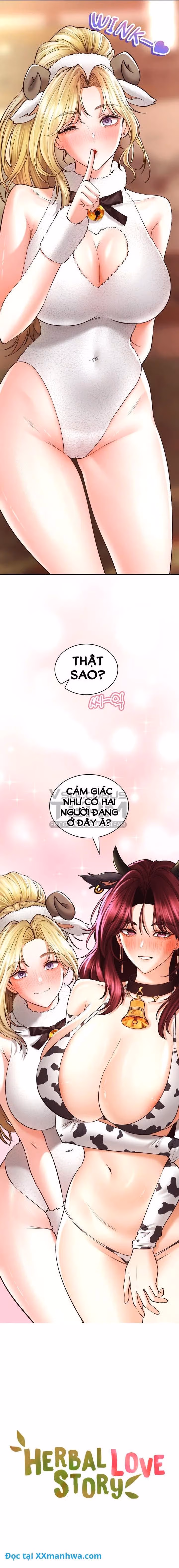 Thảo mộc tình ái 