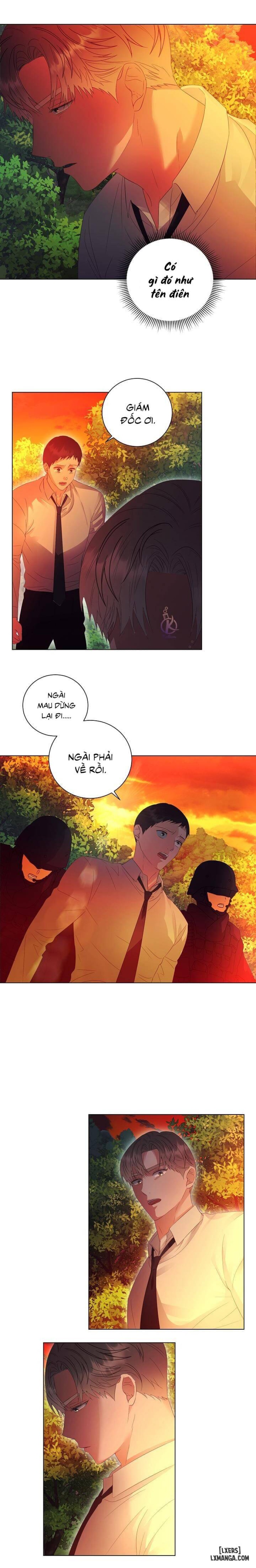 Nhân duyên 99.99% 