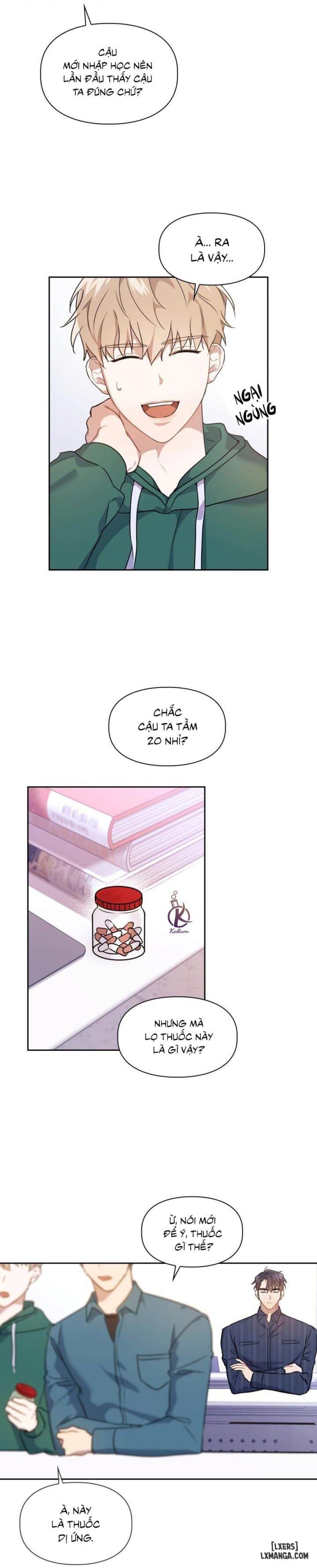 Mồi nhử 
