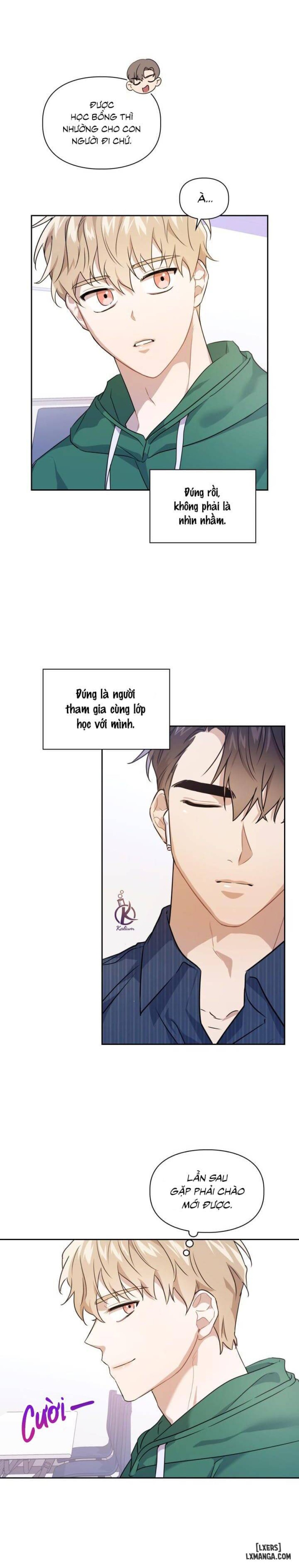 Mồi nhử 