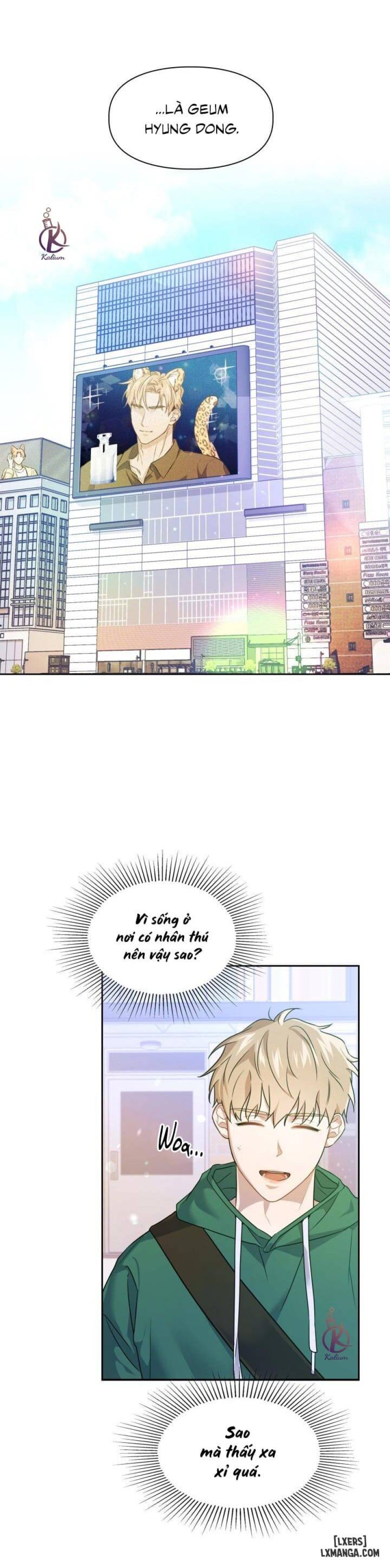 Mồi nhử 