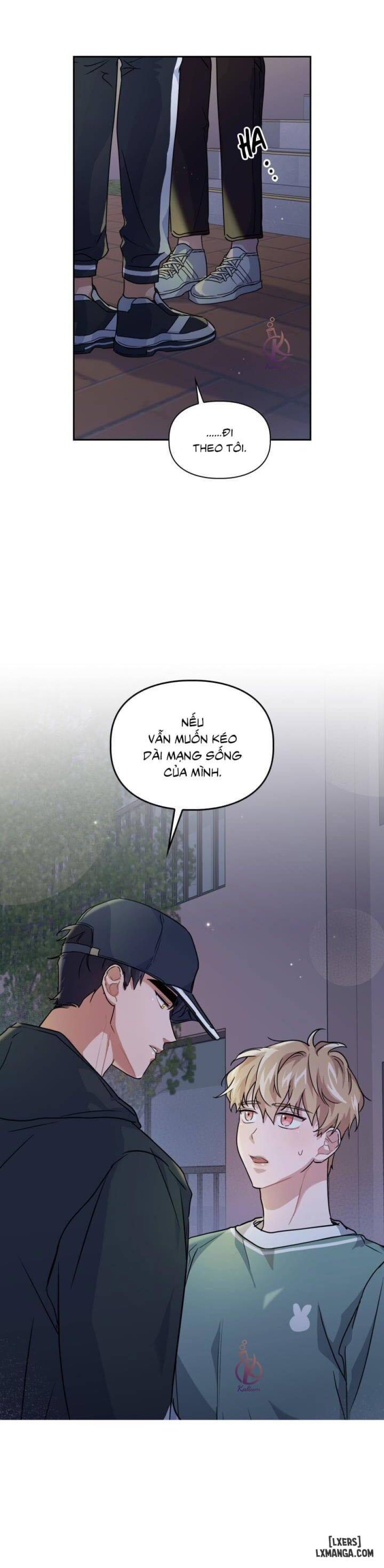 Mồi nhử 