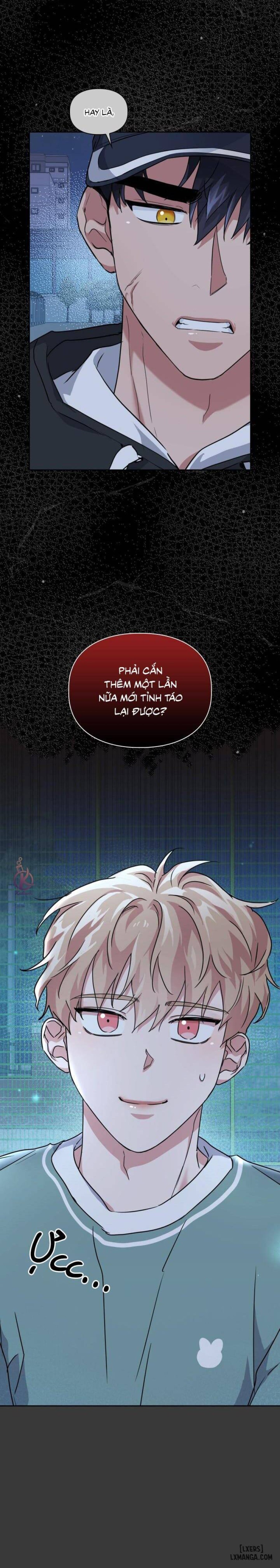 Mồi nhử 