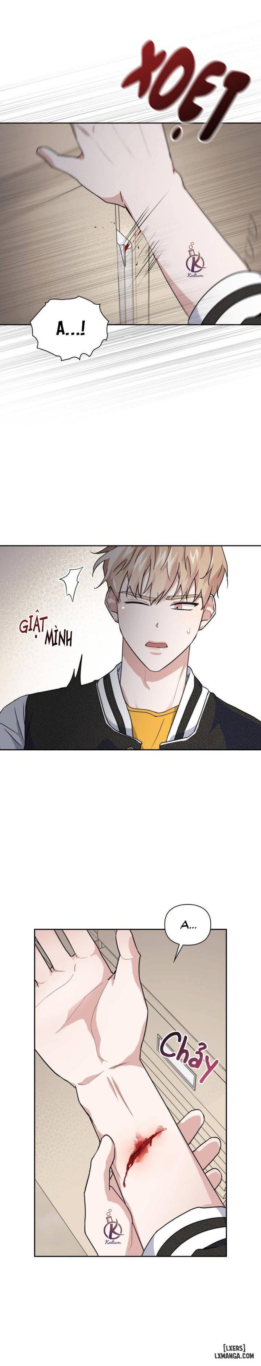 Mồi nhử 