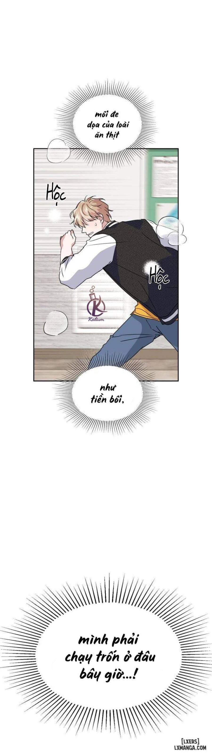 Mồi nhử 