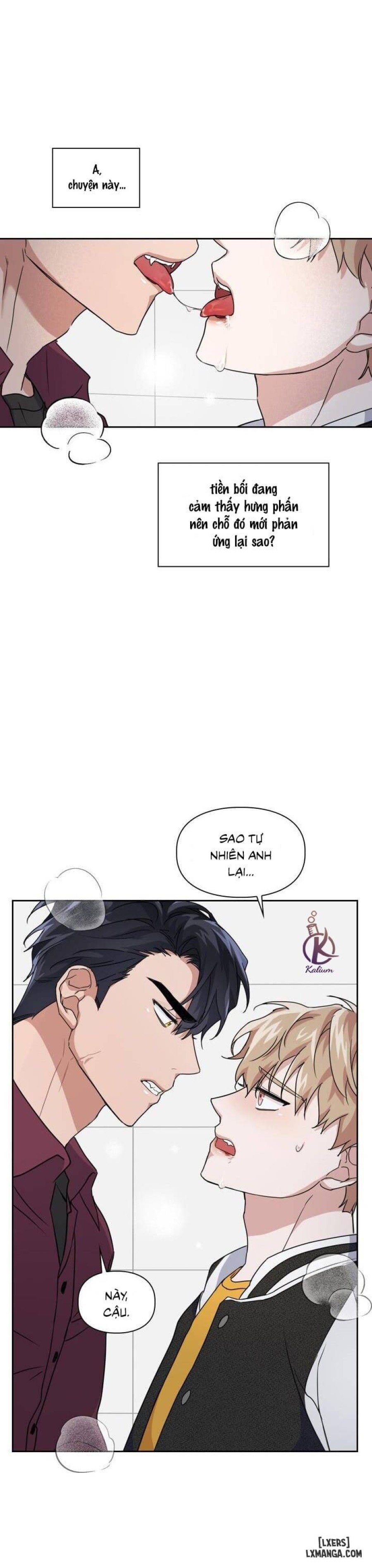 Mồi nhử 