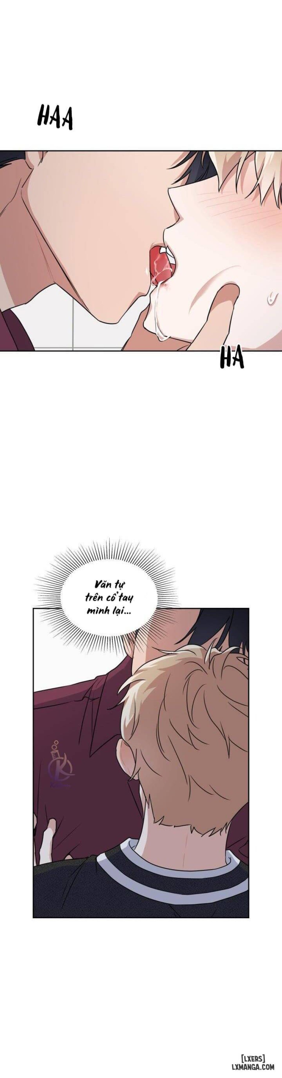 Mồi nhử 