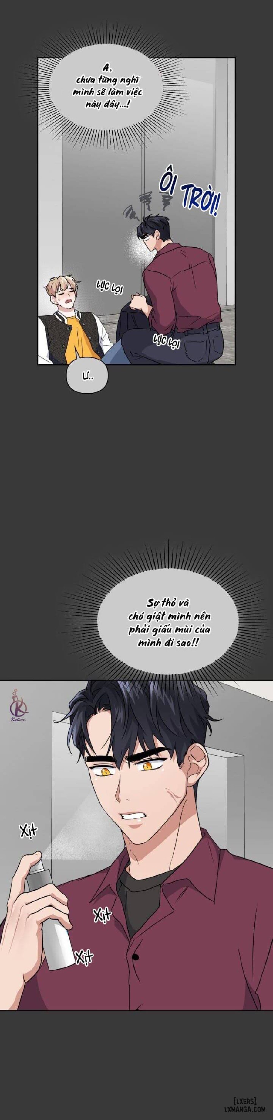 Mồi nhử 