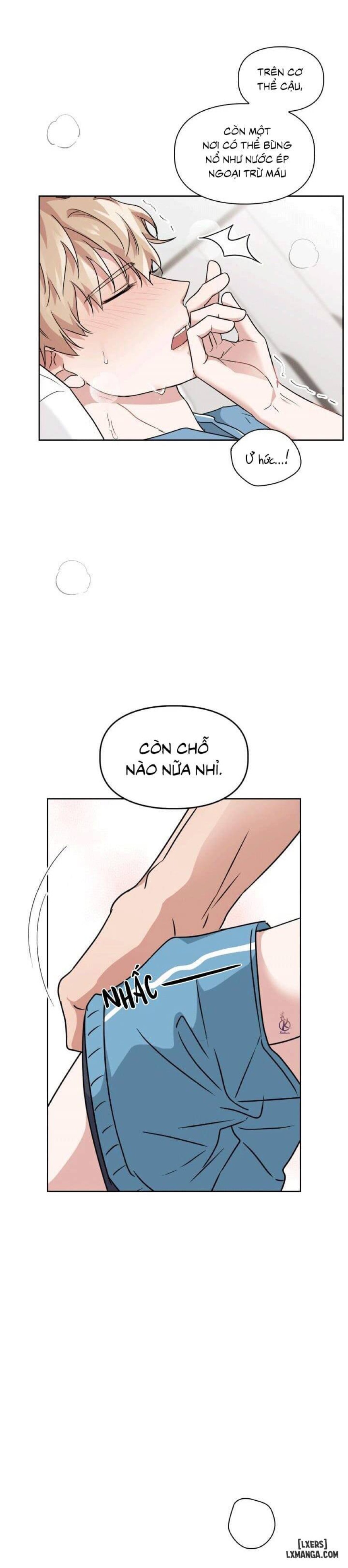 Mồi nhử 
