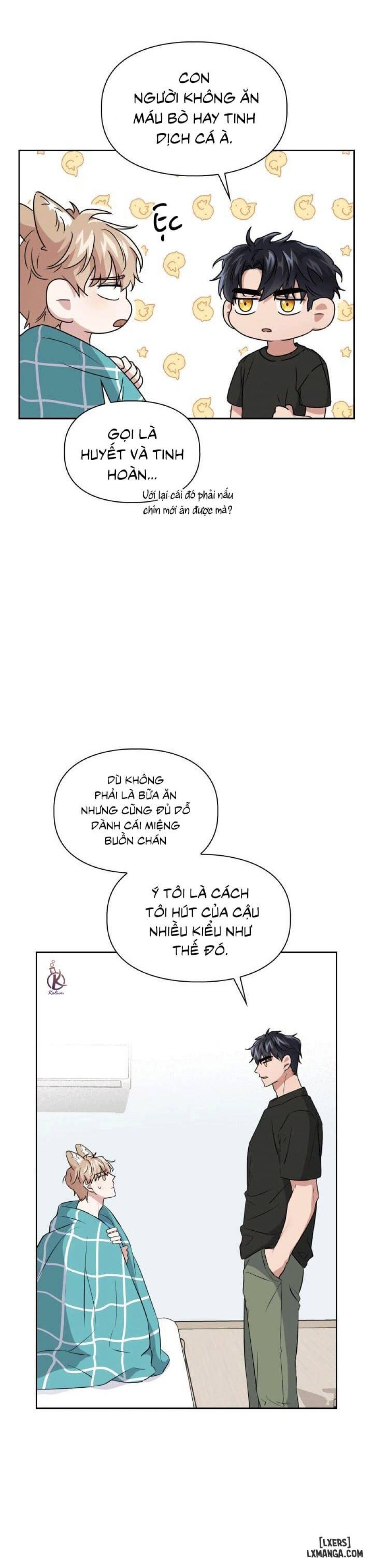 Mồi nhử 