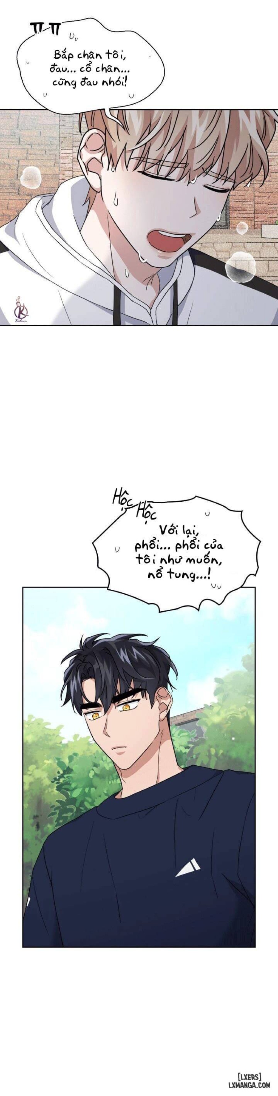 Mồi nhử 