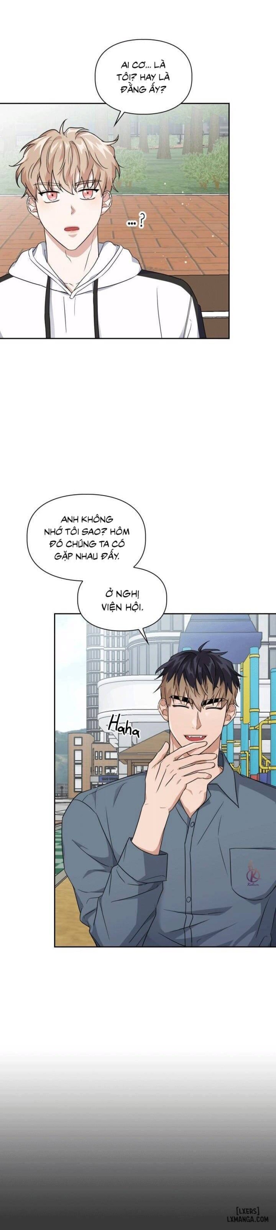Mồi nhử 