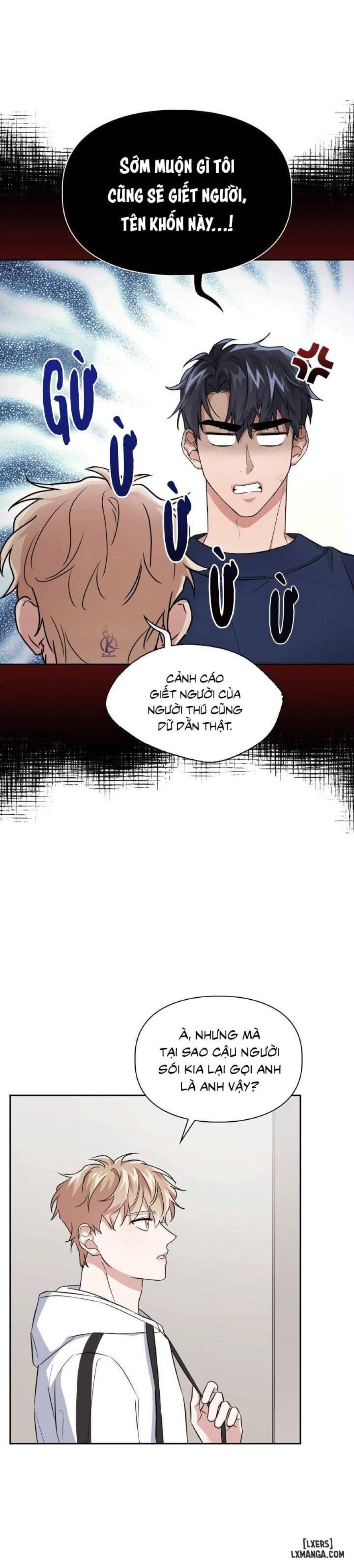 Mồi nhử 