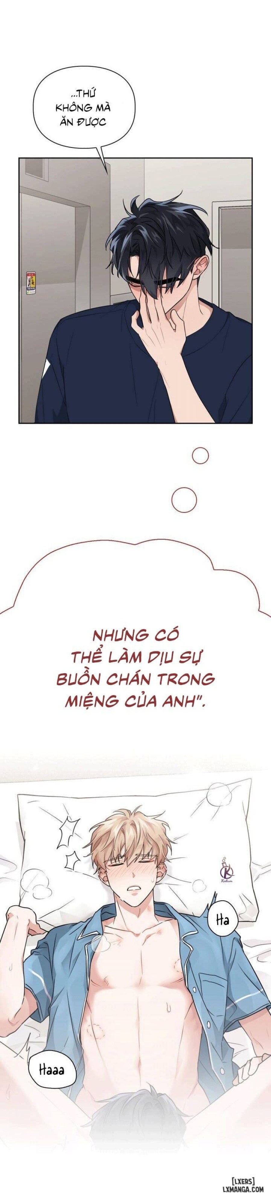 Mồi nhử 