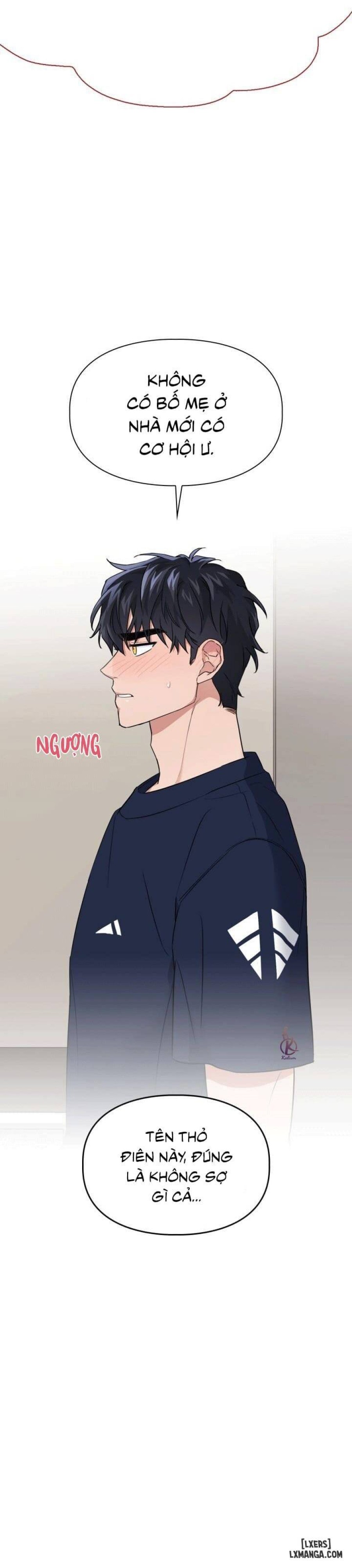 Mồi nhử 