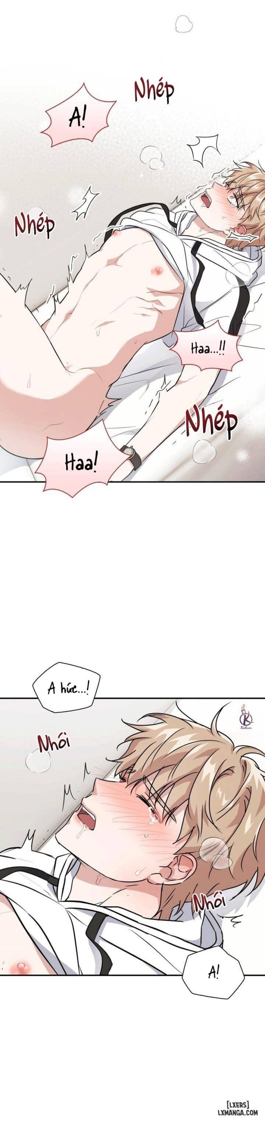 Mồi nhử 