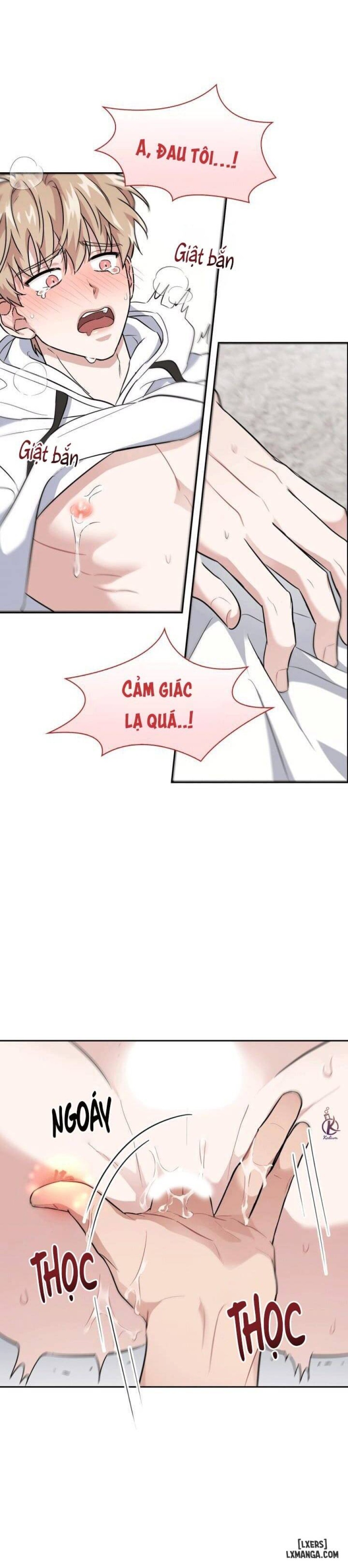 Mồi nhử 