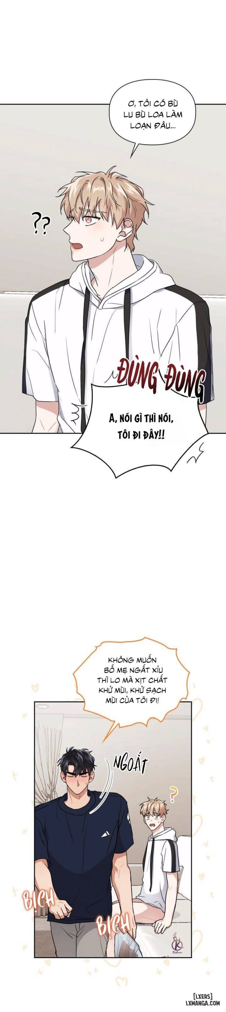 Mồi nhử 