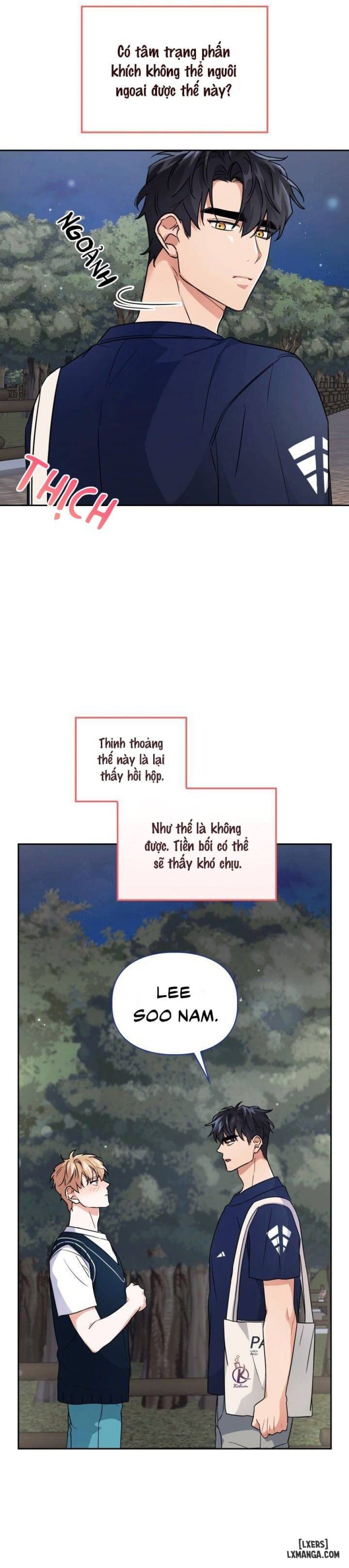 Mồi nhử 