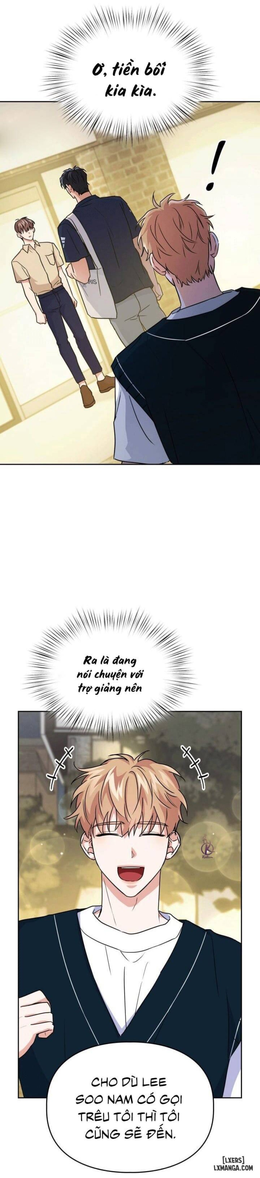 Mồi nhử 