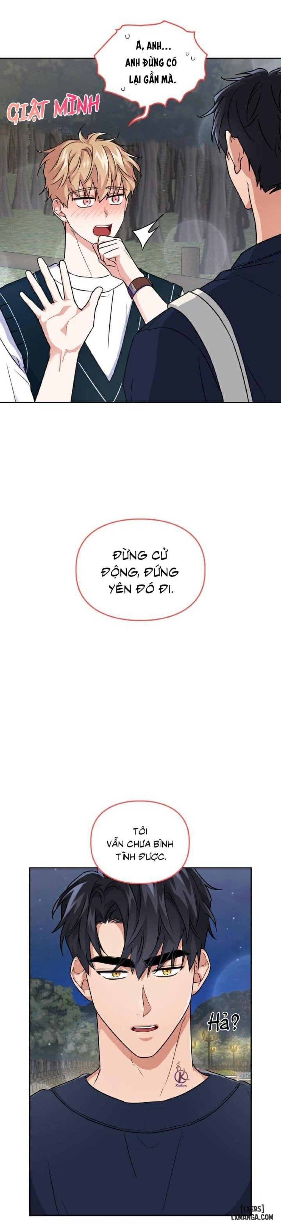 Mồi nhử 