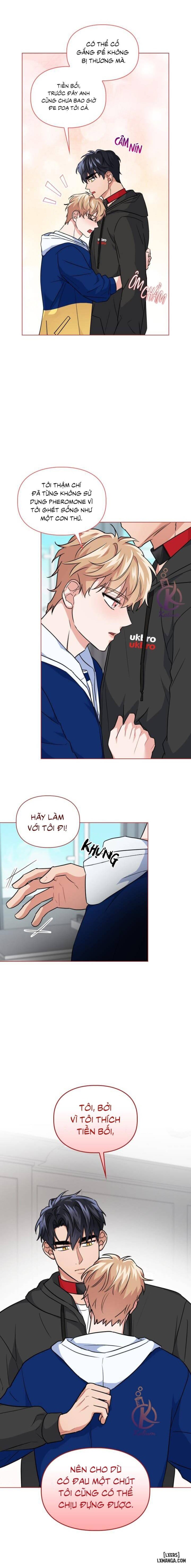 Mồi nhử 