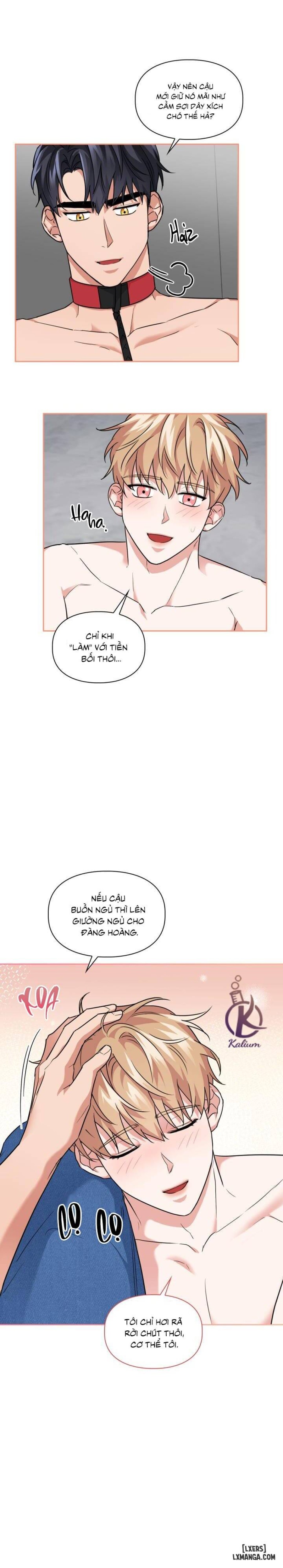 Mồi nhử 
