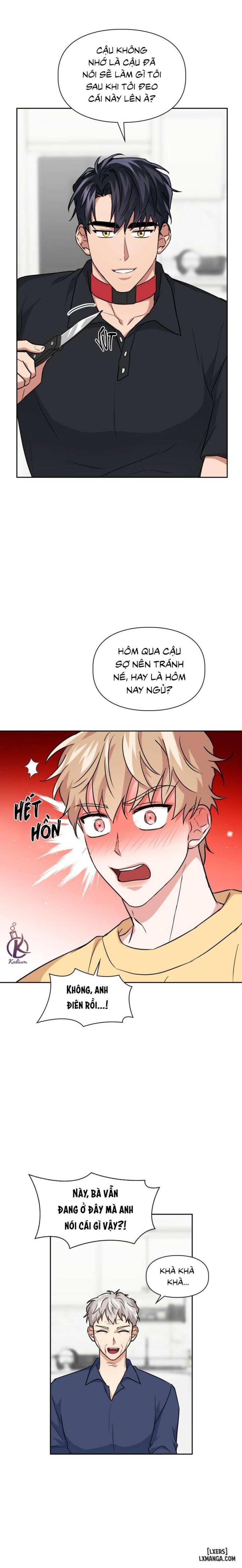 Mồi nhử 