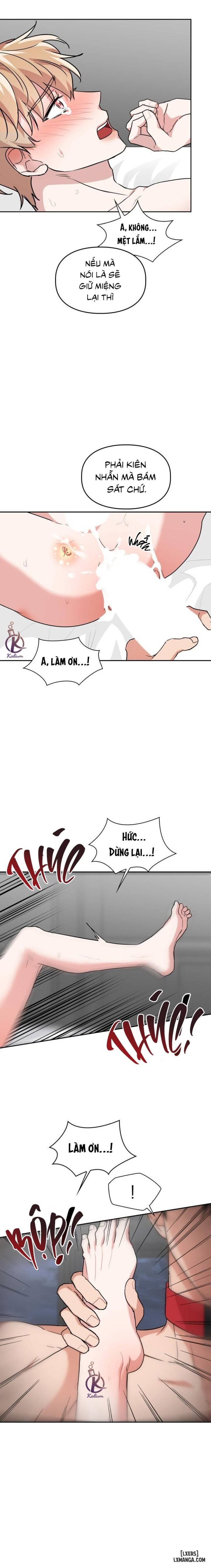 Mồi nhử 