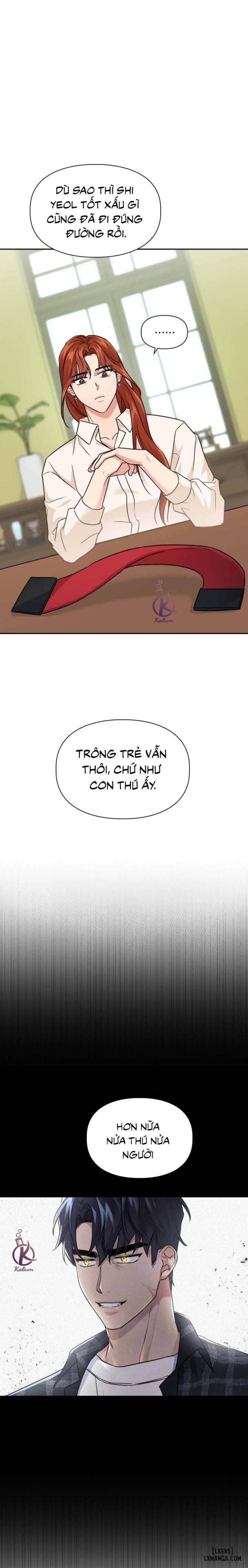 Mồi nhử 