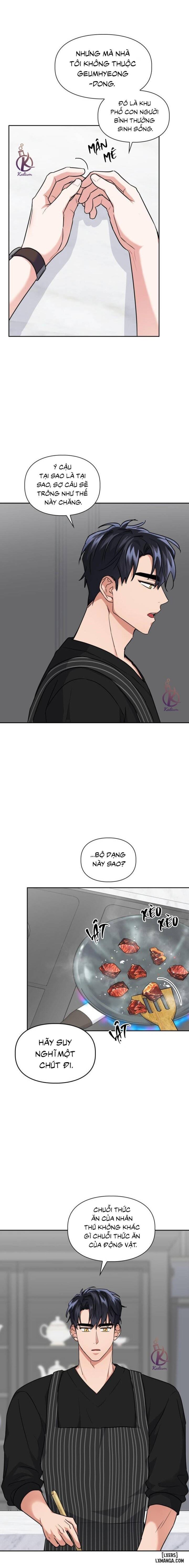 Mồi nhử 
