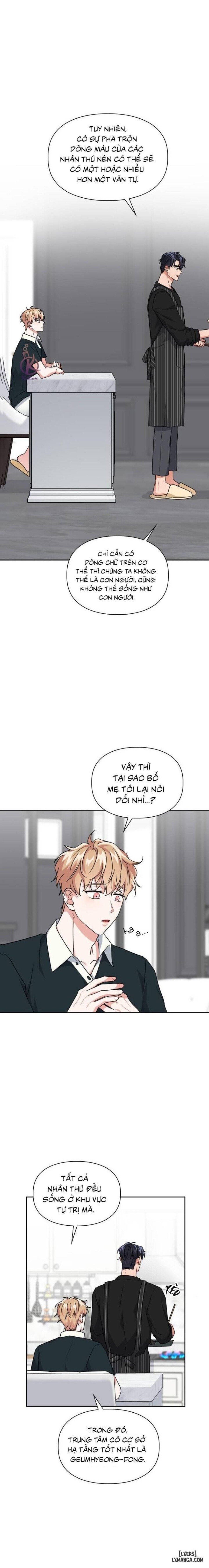 Mồi nhử 