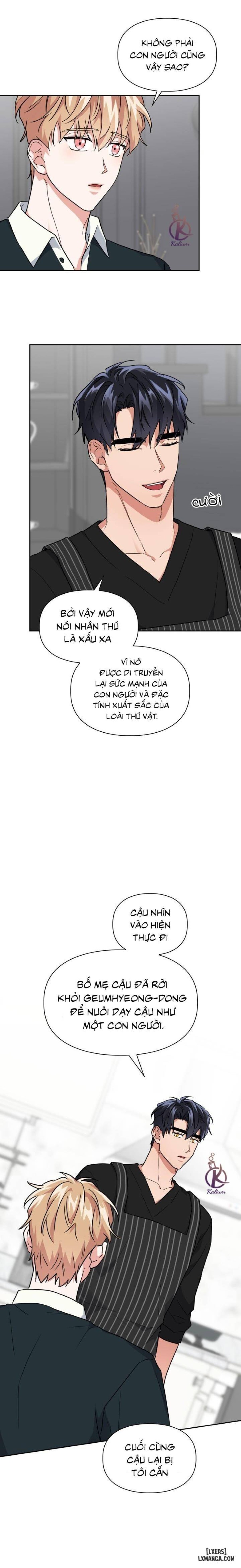 Mồi nhử 