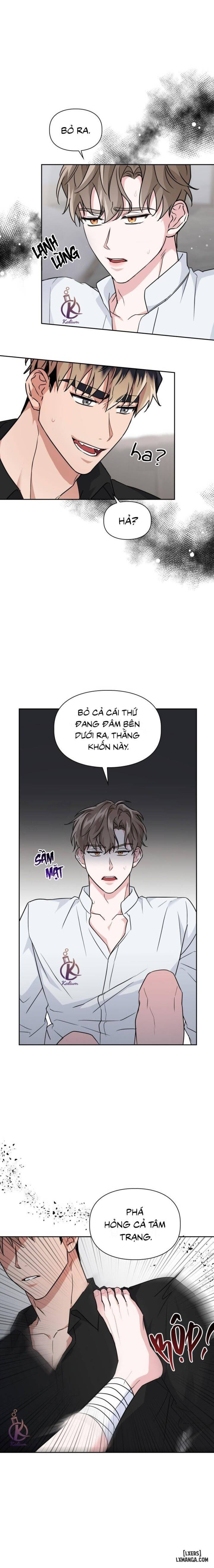 Mồi nhử 
