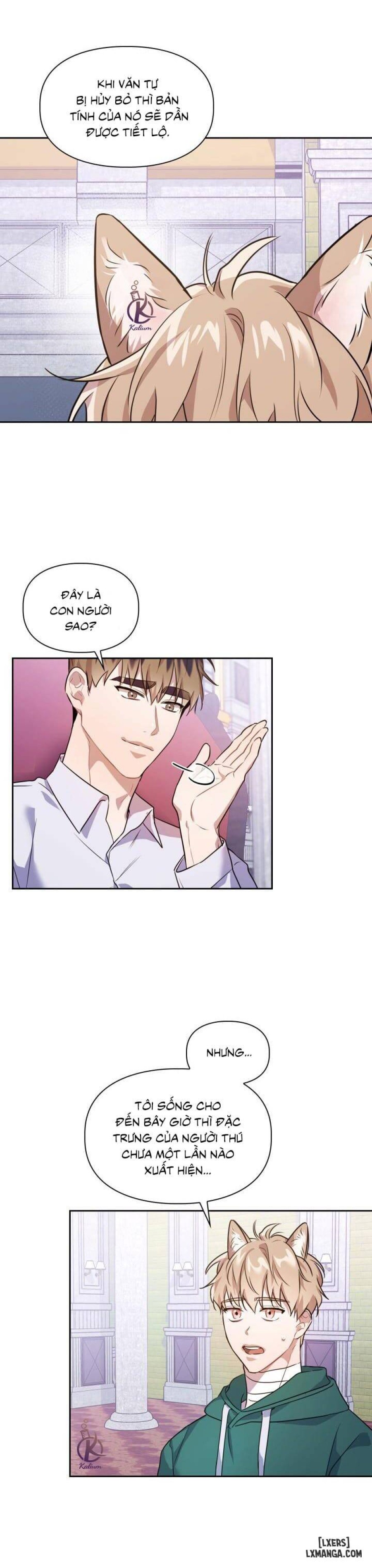 Mồi nhử 