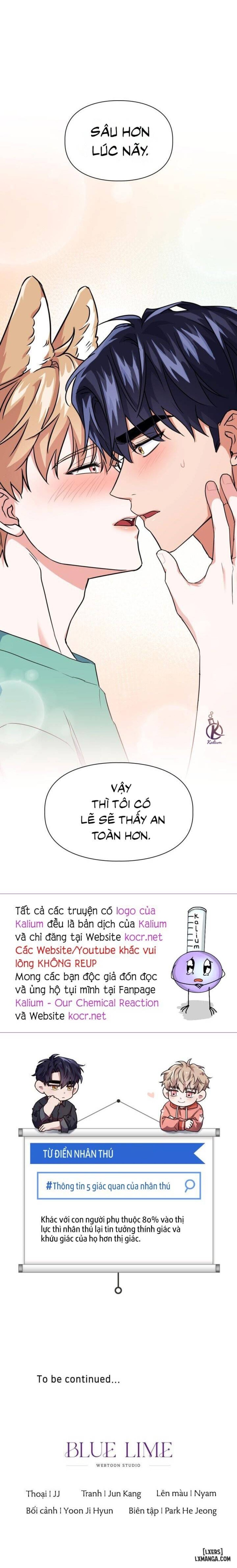 Mồi nhử 