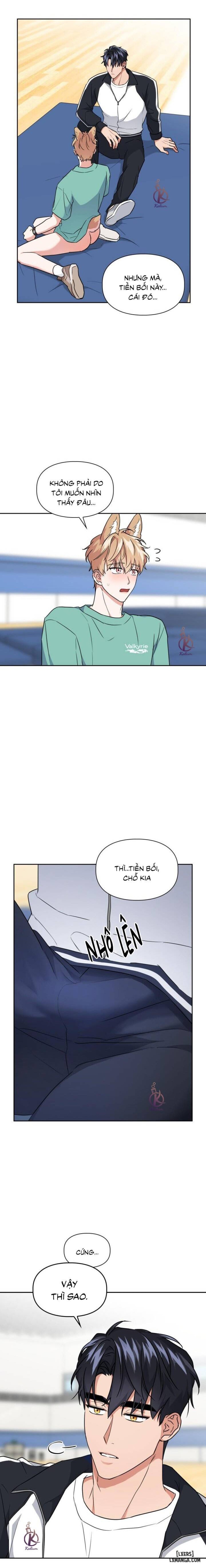 Mồi nhử 