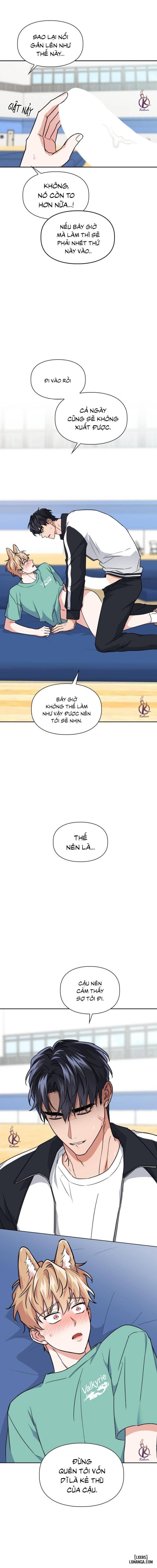 Mồi nhử 