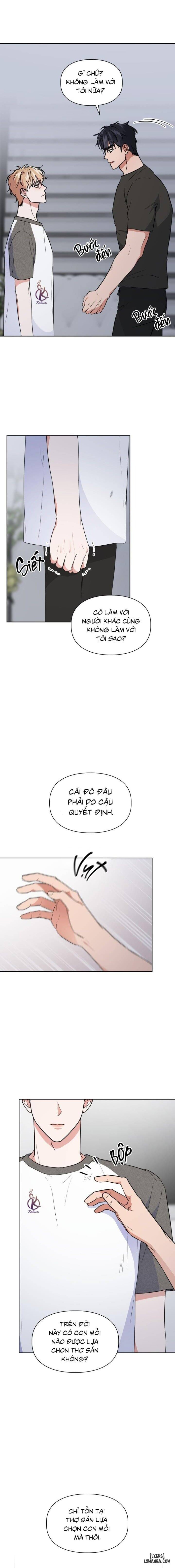 Mồi nhử 