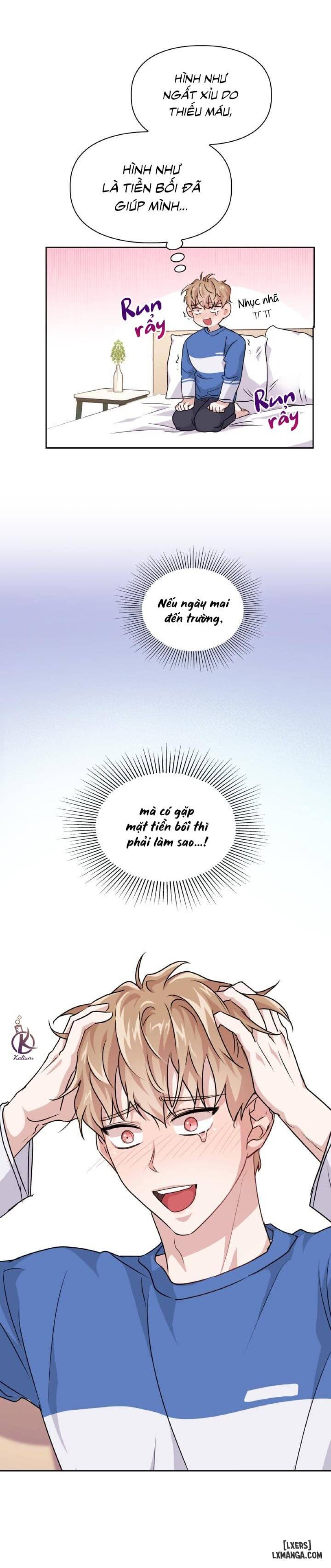 Mồi nhử 