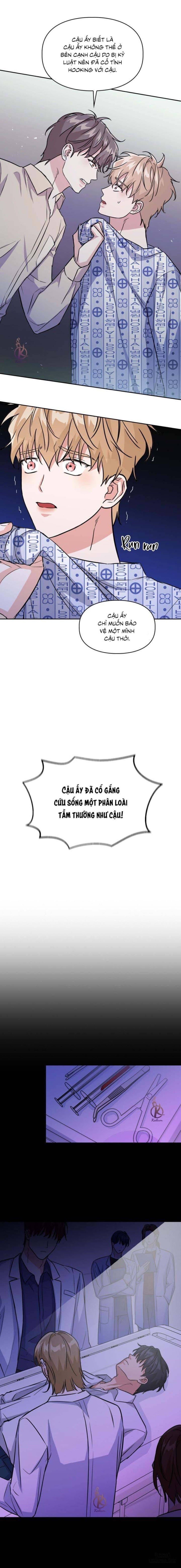 Mồi nhử 