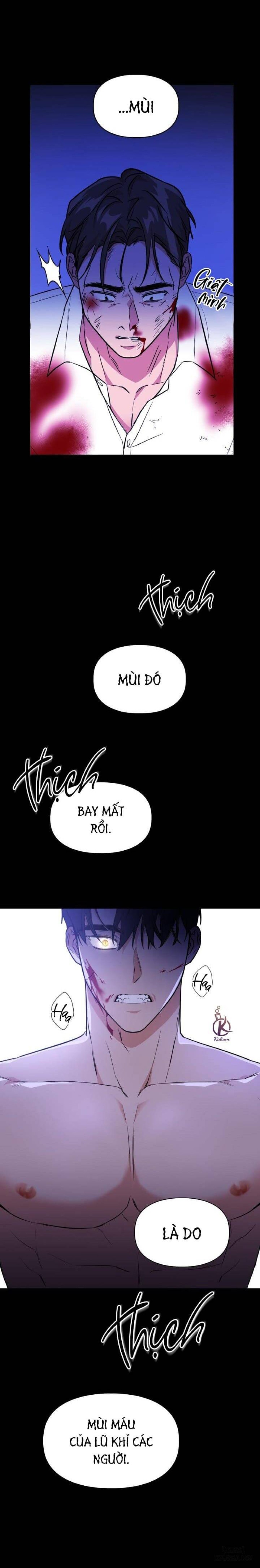 Mồi nhử 