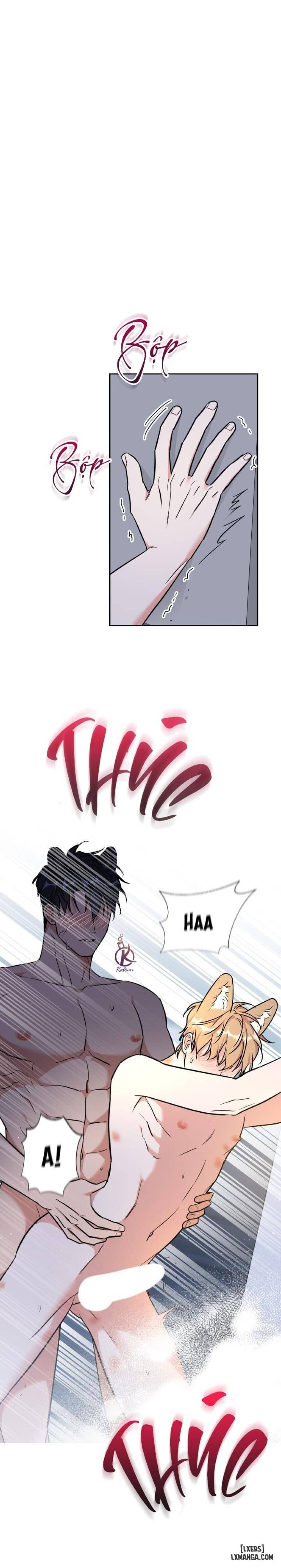 Mồi nhử 