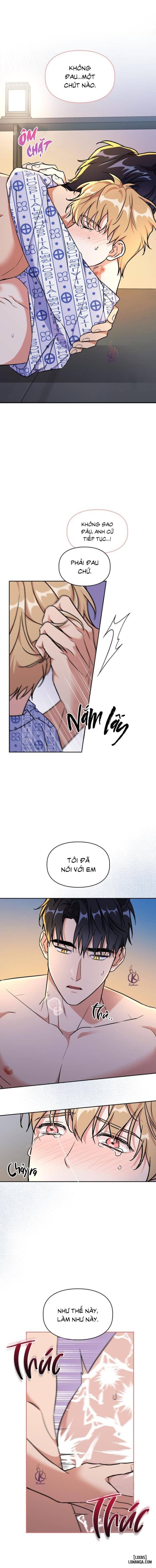 Mồi nhử 