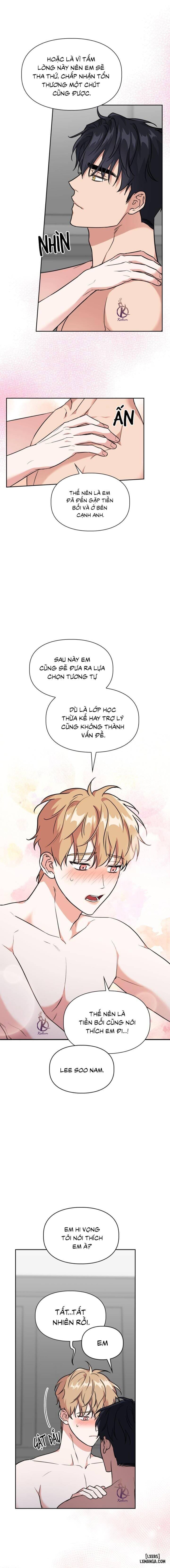 Mồi nhử 