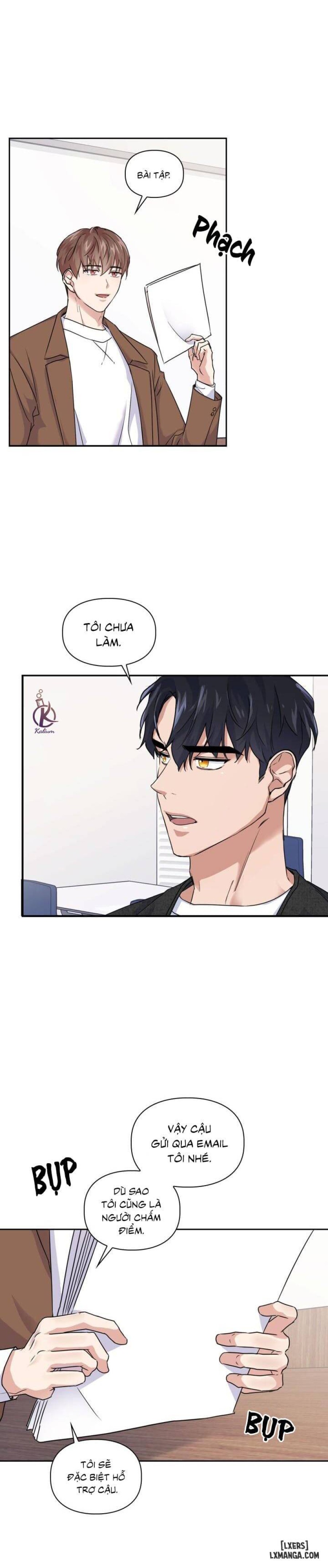 Mồi nhử 
